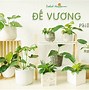 Công Ty Hasfarm Đà Lạt Tuyển Dụng 2022