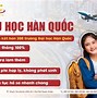 Điều Kiện Xklđ Hàn Quốc 2022 Pdf Tiếng Việt Online Miễn Phí