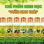 Dư Lượng Thuốc Bảo Vệ Thực Vật Tiếng Anh