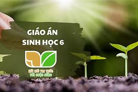 Môn Sinh Là Môn Gì Lớp 6