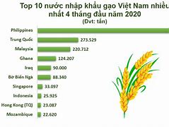 Việt Nam Nước Xuất Khẩu Gạo Lớn Nhất Thế Giới