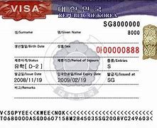 Visa D2 Bảo Lãnh Con Nuôi Được Không 2023